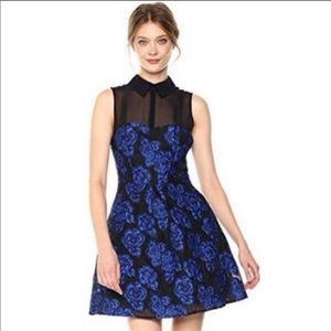 EUC Betsey Johnson Rose Fit and Flare dress - 4